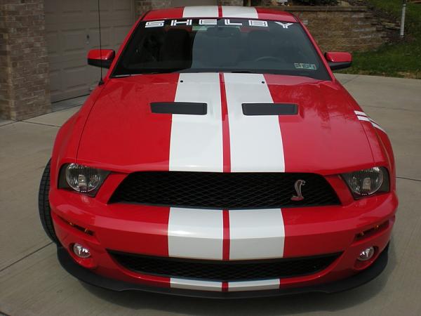 2005-2008 Ford Mustang S-197 Gen 1 Torch Red Picture Gallery-shelby9-4-3-10.jpg