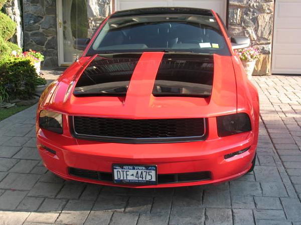 2005-2008 Ford Mustang S-197 Gen 1 Torch Red Picture Gallery-img_1167.jpg