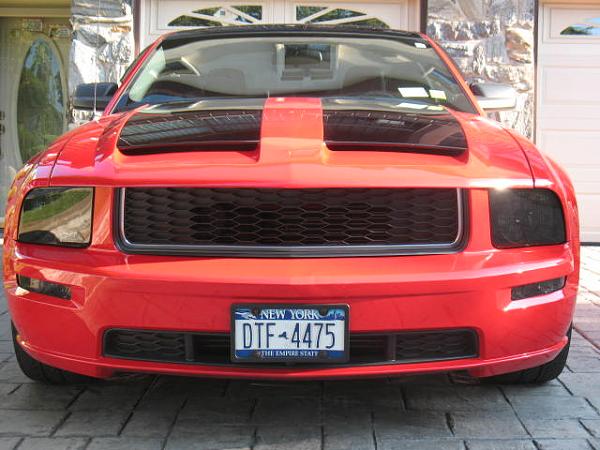 2005-2008 Ford Mustang S-197 Gen 1 Torch Red Picture Gallery-img_1168.jpg