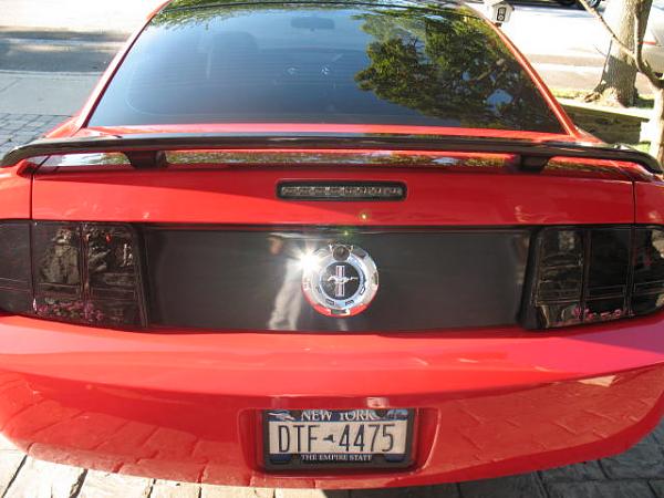 2005-2008 Ford Mustang S-197 Gen 1 Torch Red Picture Gallery-img_1172.jpg