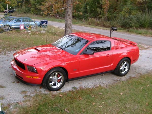 2005-2008 Ford Mustang S-197 Gen 1 Torch Red Picture Gallery-stang-1.jpg