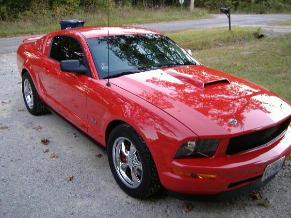 2005-2008 Ford Mustang S-197 Gen 1 Torch Red Picture Gallery-stang-4.jpg