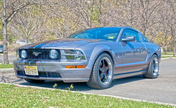 2006-2007 Ford Mustang S-197 Gen 1 Tungston Picture Gallery-mustang-gt-l.jpg