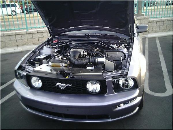2006-2007 Ford Mustang S-197 Gen 1 Tungston Picture Gallery-mustang-engine.jpg