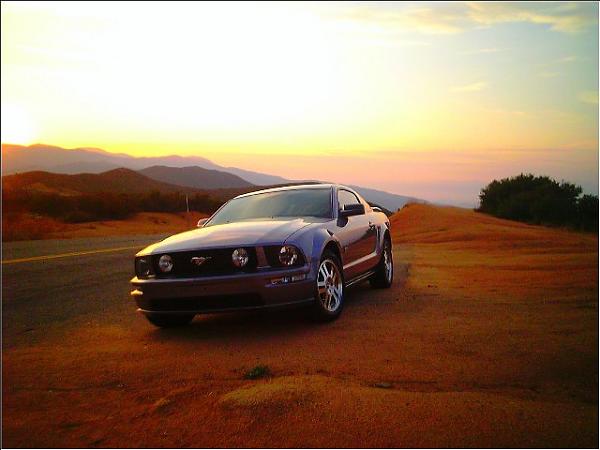2006-2007 Ford Mustang S-197 Gen 1 Tungston Picture Gallery-mustang-ortega-sunset.jpg