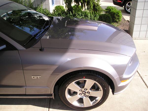Tungsten '07 Mustang GT w/GT &amp; Sport Appearance Packages-p1010041_resize.jpg