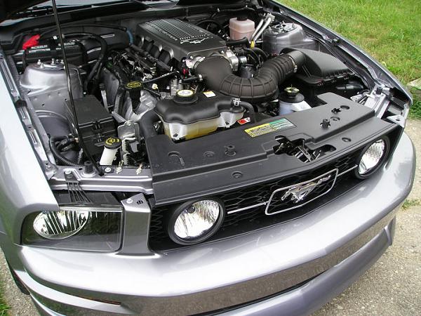 Tungsten '07 Mustang GT w/GT &amp; Sport Appearance Packages-p1010173_resize.jpg