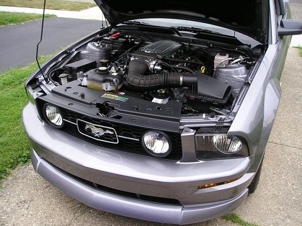 Tungsten '07 Mustang GT w/GT &amp; Sport Appearance Packages-p1010172_resize.jpg