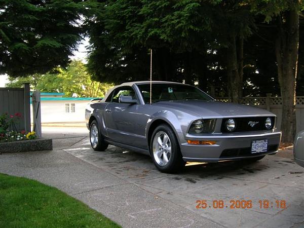 2006-2007 Ford Mustang S-197 Gen 1 Tungston Picture Gallery-small-pic-day-2-bath.jpg