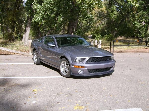 2006-2007 Ford Mustang S-197 Gen 1 Tungston Picture Gallery-suc50288.jpg