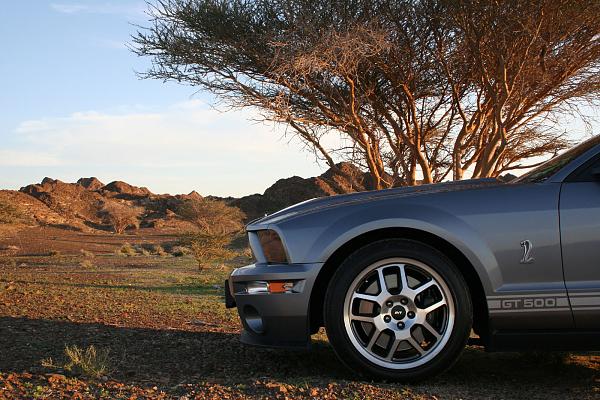 Photos: Tungsten Gray GT500 Conversion with GT-H Hood &amp; painted Satin Silver Stripes-img_0846.jpg