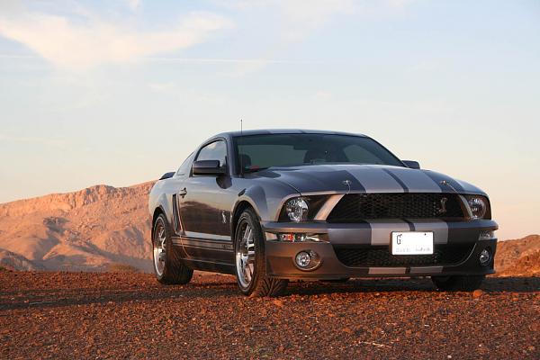 Photos: Tungsten Gray GT500 Conversion with GT-H Hood &amp; painted Satin Silver Stripes-img_0862.jpg
