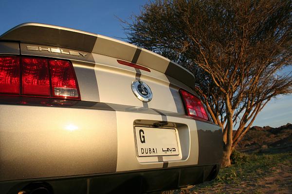 Photos: Tungsten Gray GT500 Conversion with GT-H Hood &amp; painted Satin Silver Stripes-img_0849.jpg