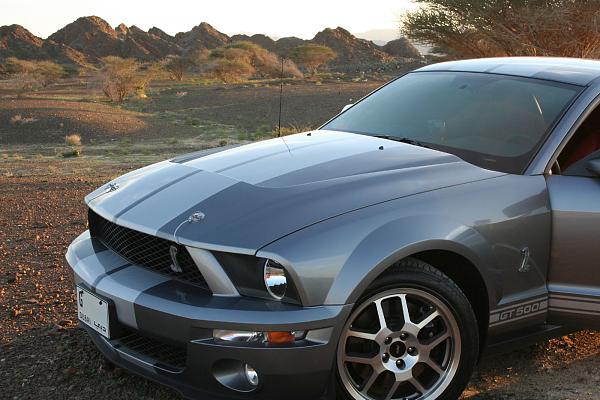Photos: Tungsten Gray GT500 Conversion with GT-H Hood &amp; painted Satin Silver Stripes-img_0853.jpg