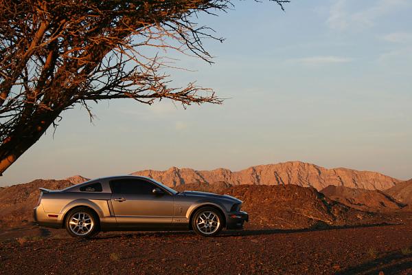 Photos: Tungsten Gray GT500 Conversion with GT-H Hood &amp; painted Satin Silver Stripes-img_0861.jpg