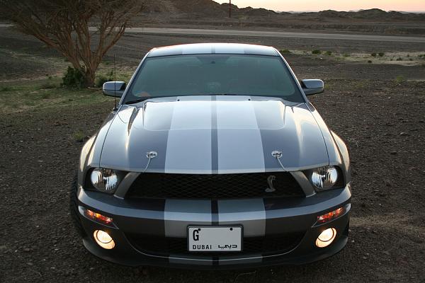 Photos: Tungsten Gray GT500 Conversion with GT-H Hood &amp; painted Satin Silver Stripes-img_0890.jpg