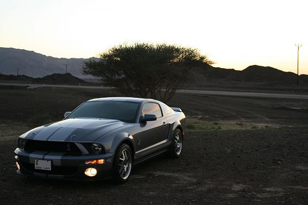 Photos: Tungsten Gray GT500 Conversion with GT-H Hood &amp; painted Satin Silver Stripes-img_0906.jpg
