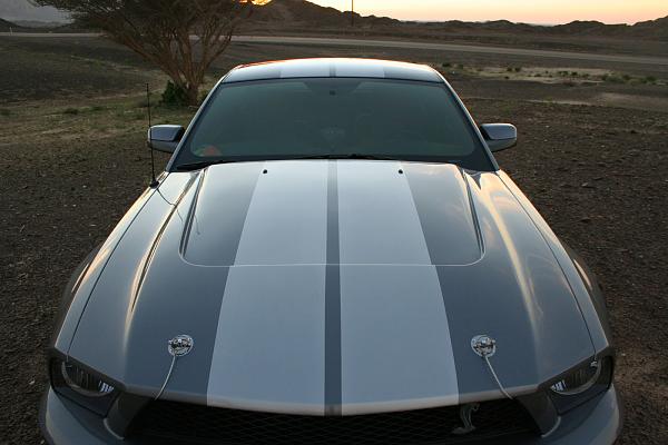 Photos: Tungsten Gray GT500 Conversion with GT-H Hood &amp; painted Satin Silver Stripes-img_0896.jpg