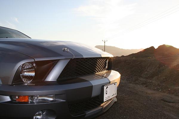 Photos: Tungsten Gray GT500 Conversion with GT-H Hood &amp; painted Satin Silver Stripes-img_0840.jpg