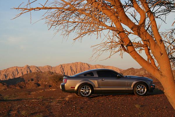 Photos: Tungsten Gray GT500 Conversion with GT-H Hood &amp; painted Satin Silver Stripes-img_0858.jpg