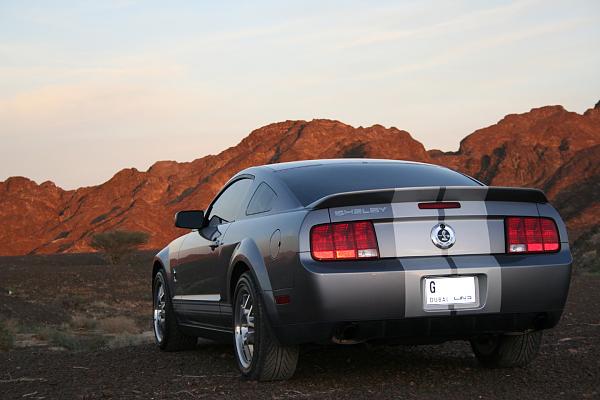 Photos: Tungsten Gray GT500 Conversion with GT-H Hood &amp; painted Satin Silver Stripes-img_0878.jpg