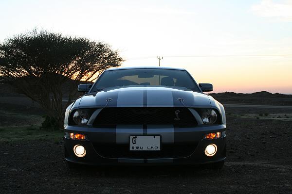 Photos: Tungsten Gray GT500 Conversion with GT-H Hood &amp; painted Satin Silver Stripes-img_0893.jpg