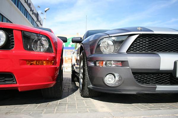 Photos: Tungsten Gray GT500 Conversion with GT-H Hood &amp; painted Satin Silver Stripes-img_0812.jpg