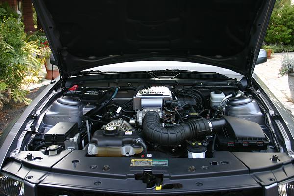 2006-2007 Ford Mustang S-197 Gen 1 Tungston Picture Gallery-new1.jpg