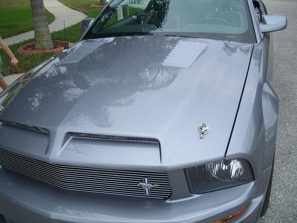 2006-2007 Ford Mustang S-197 Gen 1 Tungston Picture Gallery-cimg2341.jpg