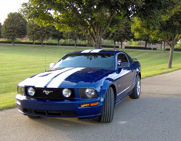 2006-2009 Ford Mustang S-197 Gen 1 Vista Blue Picture Gallery-stang_1.jpg