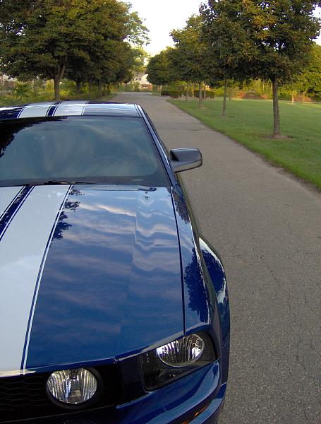 2006-2009 Ford Mustang S-197 Gen 1 Vista Blue Picture Gallery-stang_2.jpg