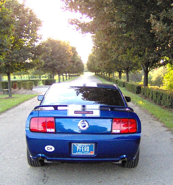 2006-2009 Ford Mustang S-197 Gen 1 Vista Blue Picture Gallery-stang_3.jpg