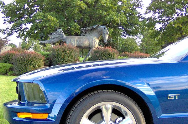 2006-2009 Ford Mustang S-197 Gen 1 Vista Blue Picture Gallery-stang_5.jpg