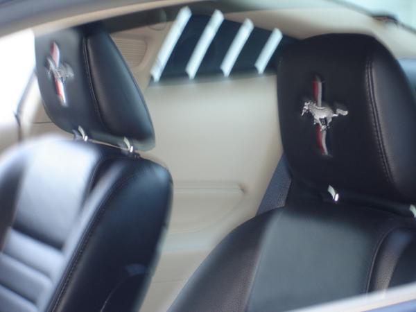 any vista blue with camel/black interior-dsc00917.jpg