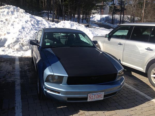 2006-2009 Ford Mustang S-197 Gen 1 Windveil Blue Picture Gallery-image-636750763.jpg