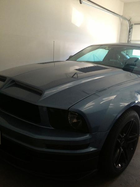 2006-2009 Ford Mustang S-197 Gen 1 Windveil Blue Picture Gallery-image-1774536398.jpg
