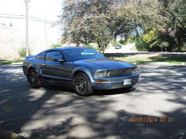 2006-2009 Ford Mustang S-197 Gen 1 Windveil Blue Picture Gallery-img_0970.jpg