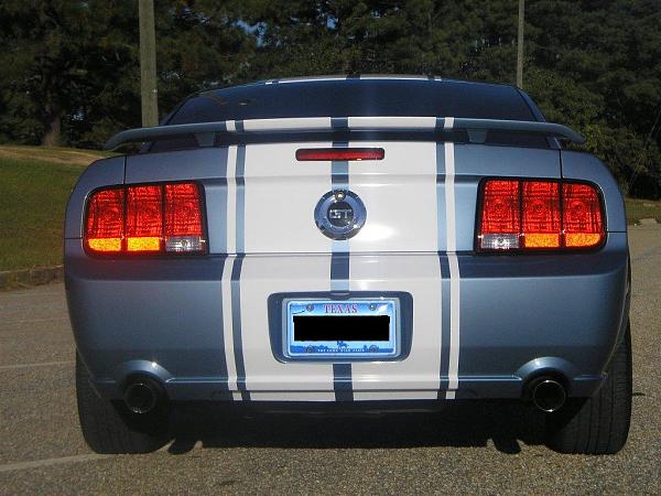 Post your WindveilBlue with stripe-mustang3.jpg