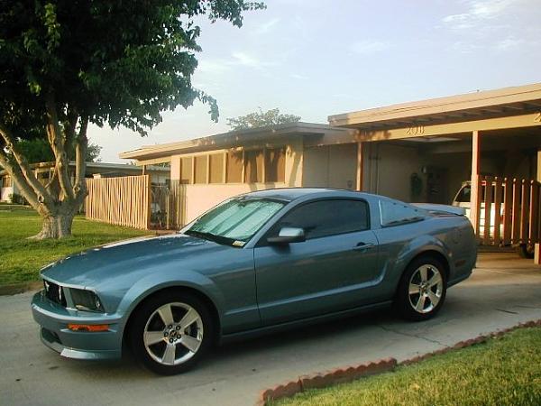 Calling all Windveil Blue owners.-wb11.jpg