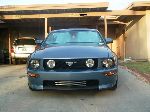 Calling all Windveil Blue owners.-wb12.jpg