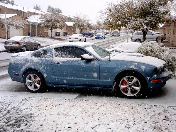 Calling all Windveil Blue owners.-pc170279.jpg