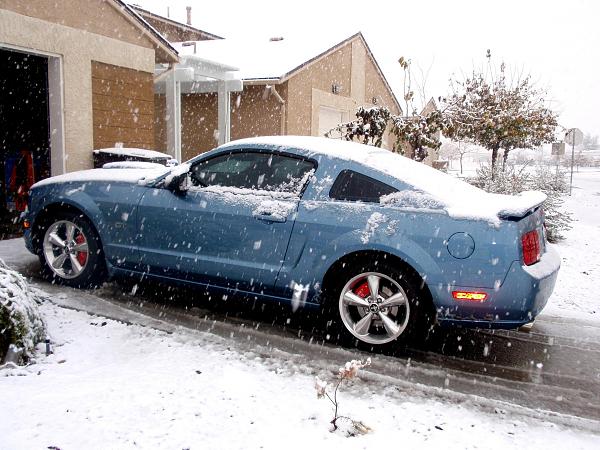 Calling all Windveil Blue owners.-pc170287.jpg