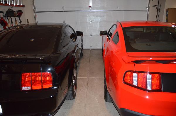 Newest addition to the family-dsc_0250-1-.jpg