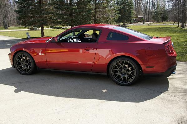 new pics with new rims-dsc02468.jpg