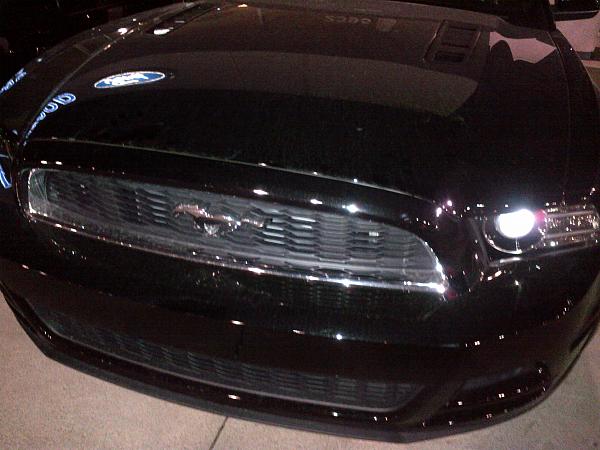 Canadian 2013 GT's not getting grille mounted LED fogs-mississauga-20120406-00048.jpg