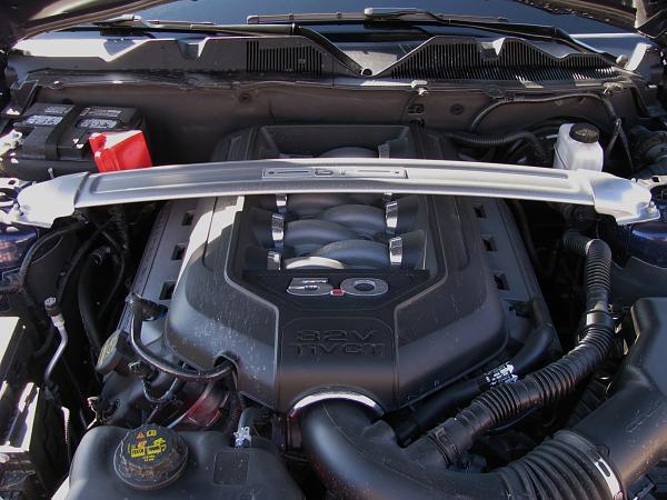 Found this in my grille. What is it?-img_1024.jpg