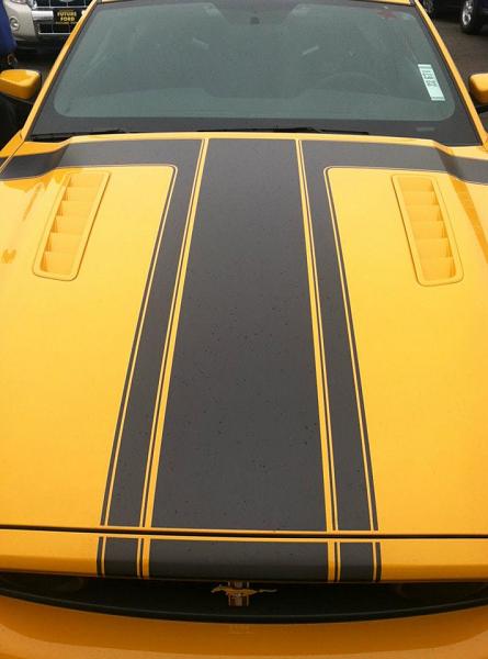 Mustangs @ New York International Auto Show 2012-536839_378504168847885_100000649165364_1228259_1266636339_n.jpg