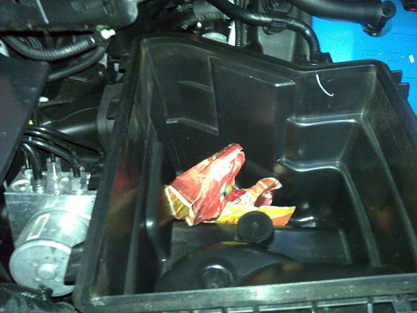 What have you found in your airbox??-wp_001984.jpg