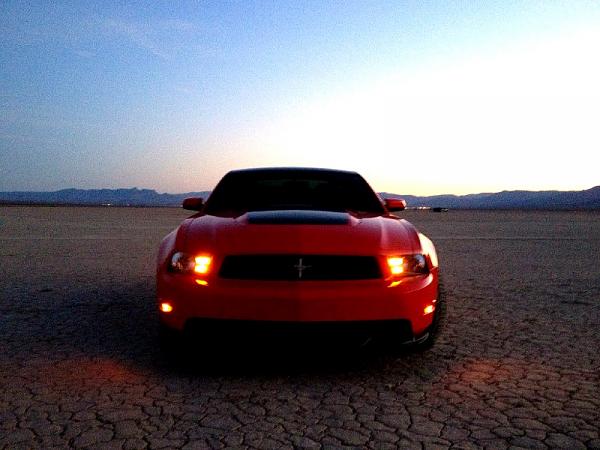 New Here -- Boss owner-image-217088663.jpg