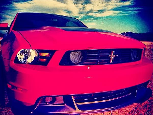 New Here -- Boss owner-image-4083864714.jpg